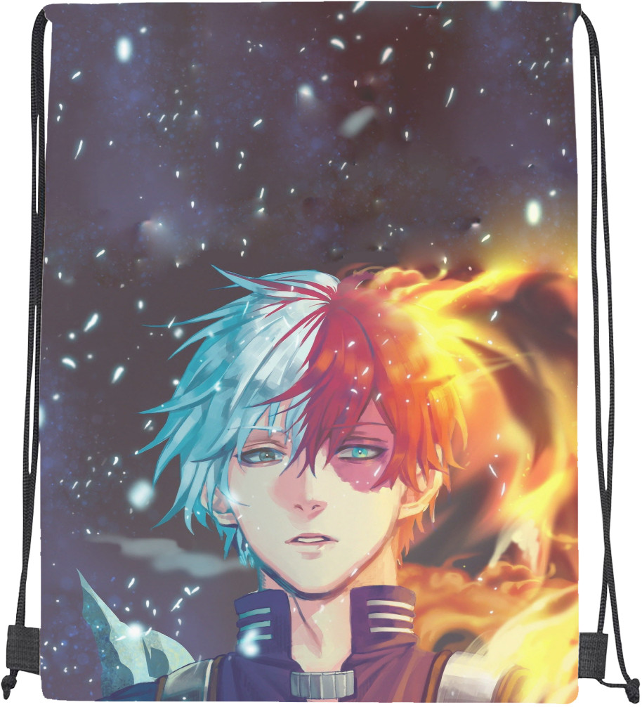 Shoto Todoroki