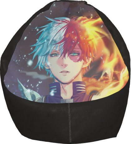 Shoto Todoroki