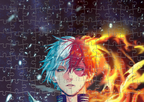 Shoto Todoroki