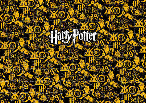 HARRY POTTER (15)