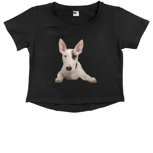 Kids' Premium Cropped T-Shirt - Бультерьер 1 - Mfest