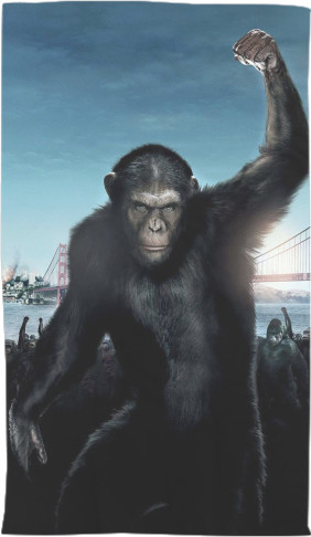 Planet-Of-The-Apes-2