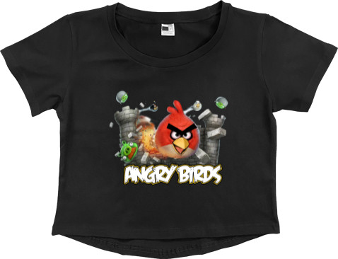 Angry Birds 17