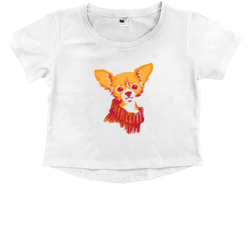 Kids' Premium Cropped T-Shirt - Чихуахуа 7 - Mfest