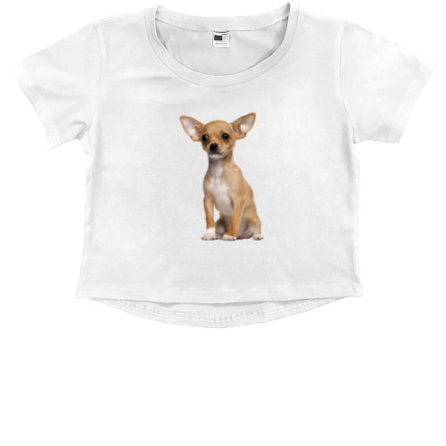 Kids' Premium Cropped T-Shirt - Чихуахуа 3 - Mfest