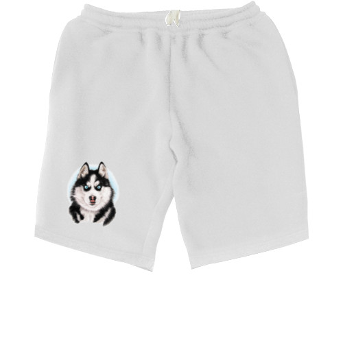 Men's Shorts - Хаски 6 - Mfest