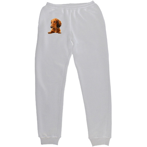 Men's Sweatpants - Такса 6 - Mfest