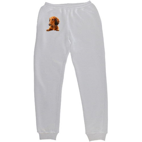 Kids' Sweatpants - Такса 6 - Mfest