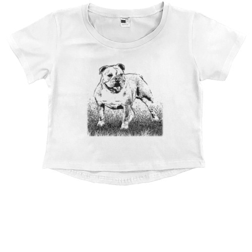 Kids' Premium Cropped T-Shirt - Английский Бульдог 2 - Mfest