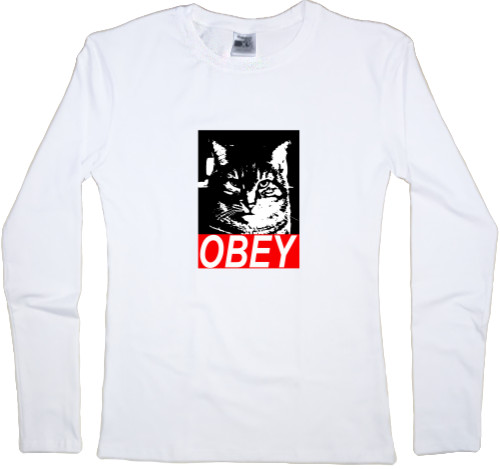 Obey cat