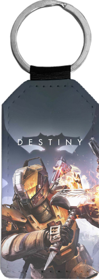 DESTINY [11]