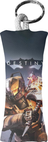 DESTINY [11]