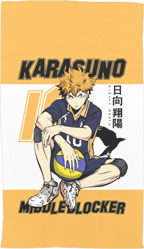 HAIKYU!! [14]