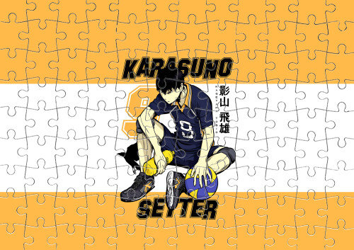 HAIKYU!! [11]