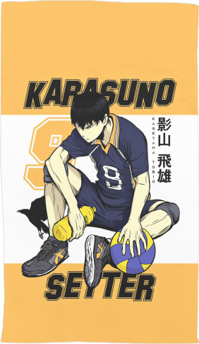 HAIKYU!! [11]