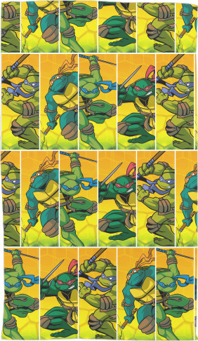 TMNT [13]