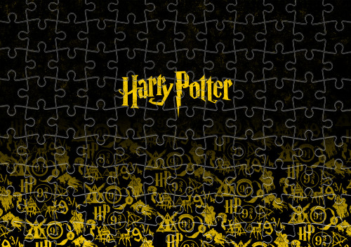 HARRY POTTER (19)