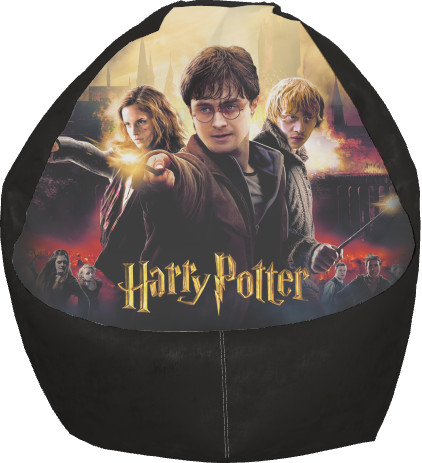 HARRY POTTER (22)