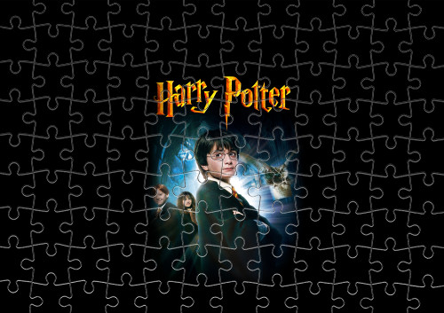 HARRY POTTER (23)