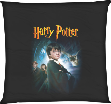 HARRY POTTER (23)