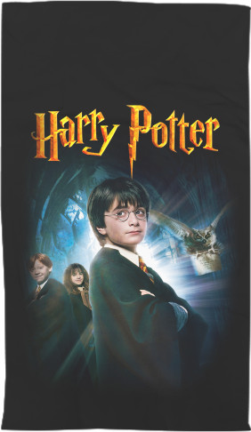 HARRY POTTER (23)