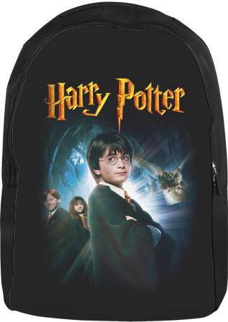 HARRY POTTER (23)