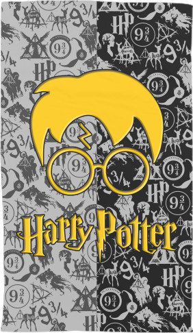 HARRY POTTER (17)