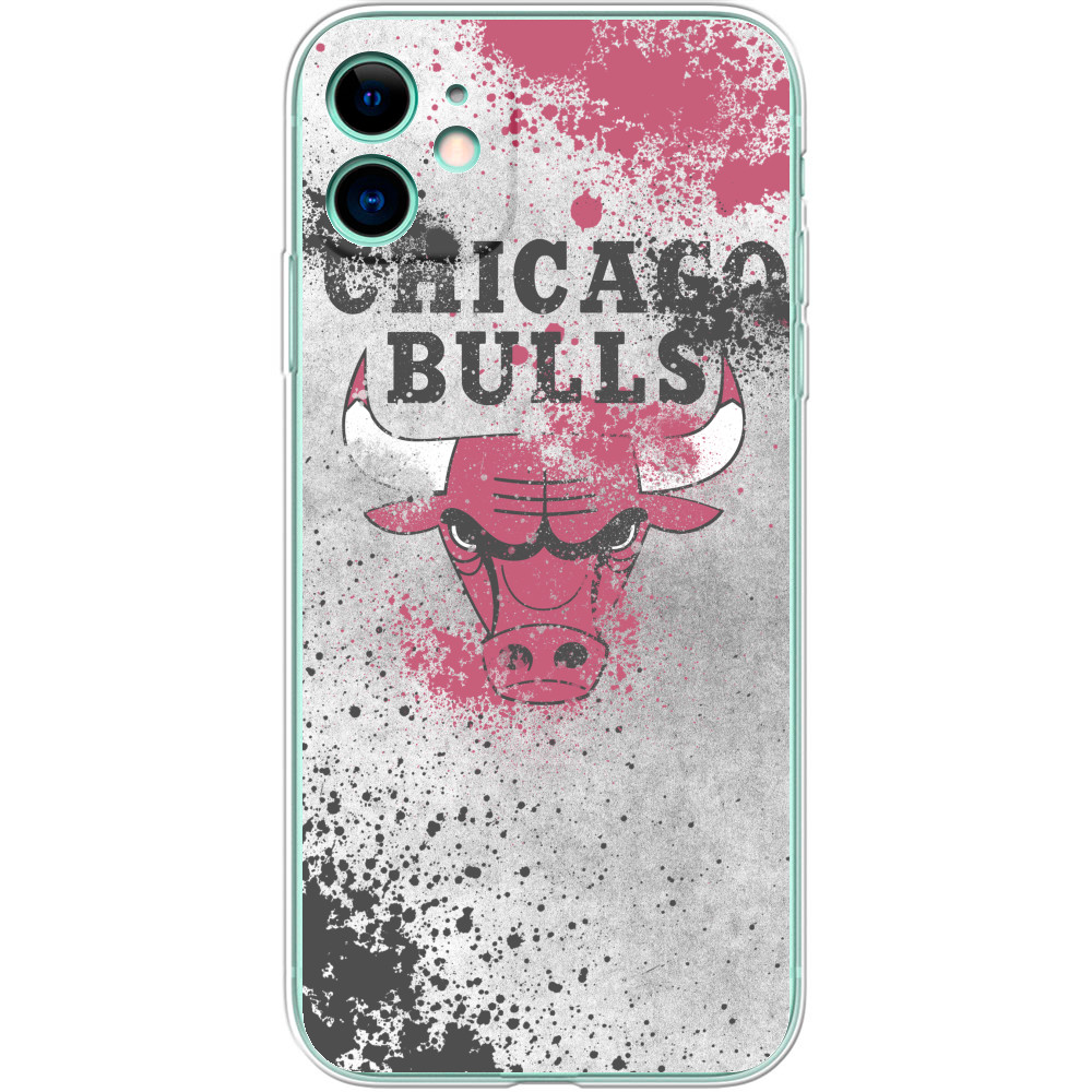 Chicago Bulls [9]