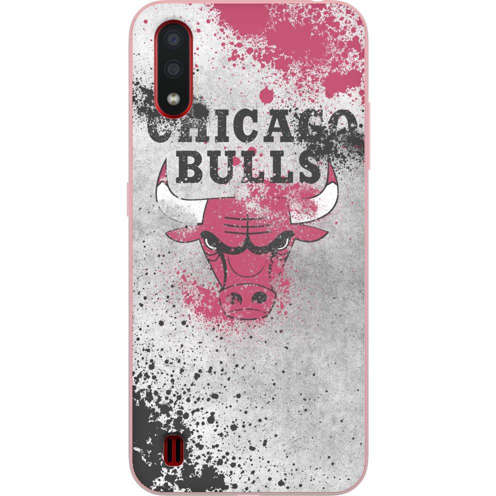 Chicago Bulls [9]