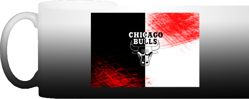 Chicago Bulls [10]