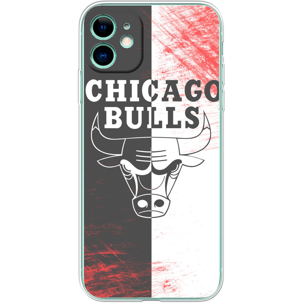 Chicago Bulls [10]