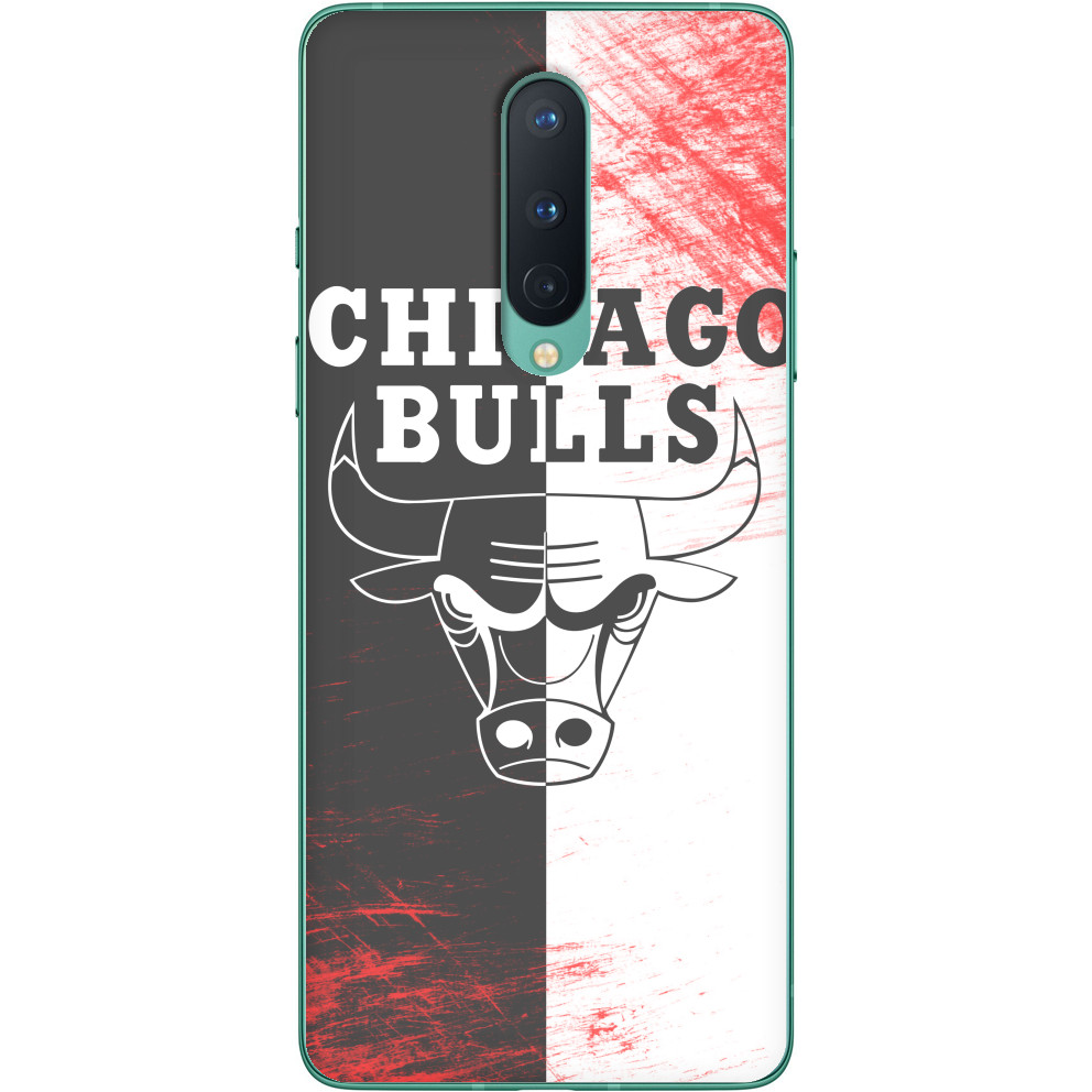 Chicago Bulls [10]