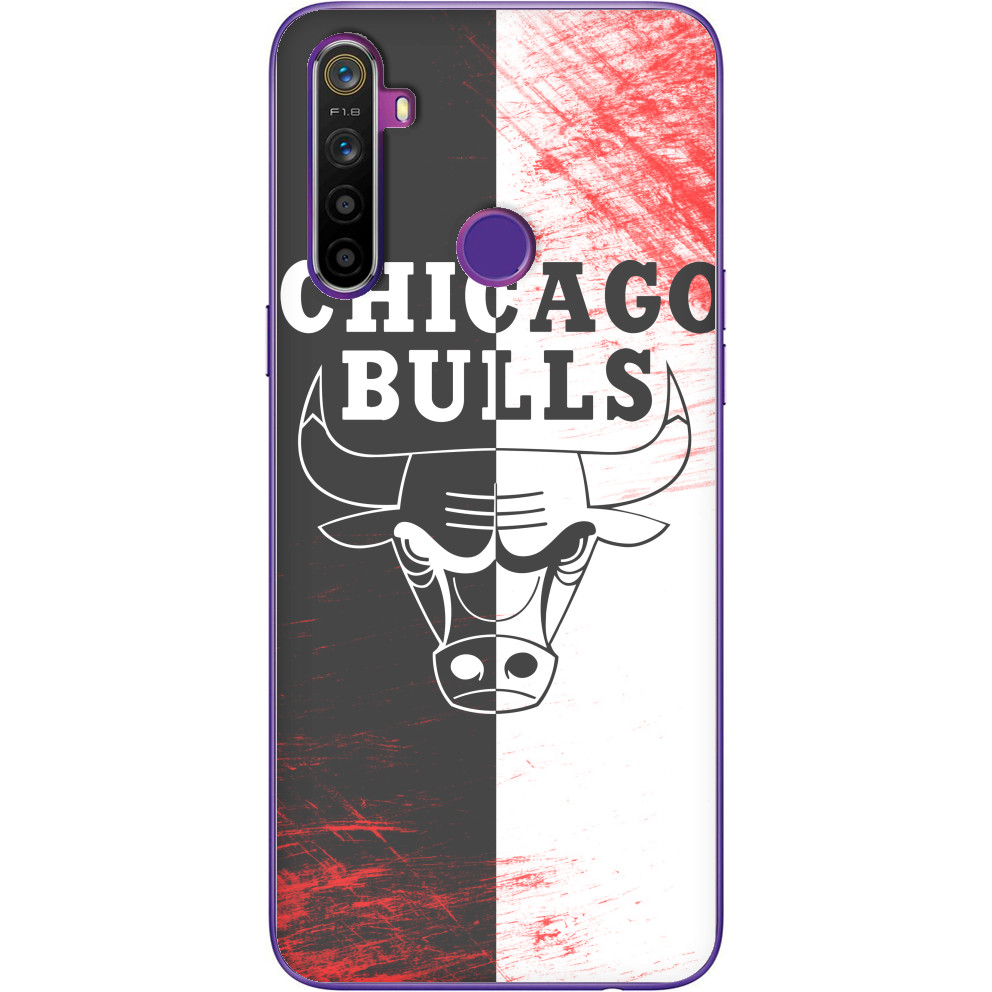 Chicago Bulls [10]