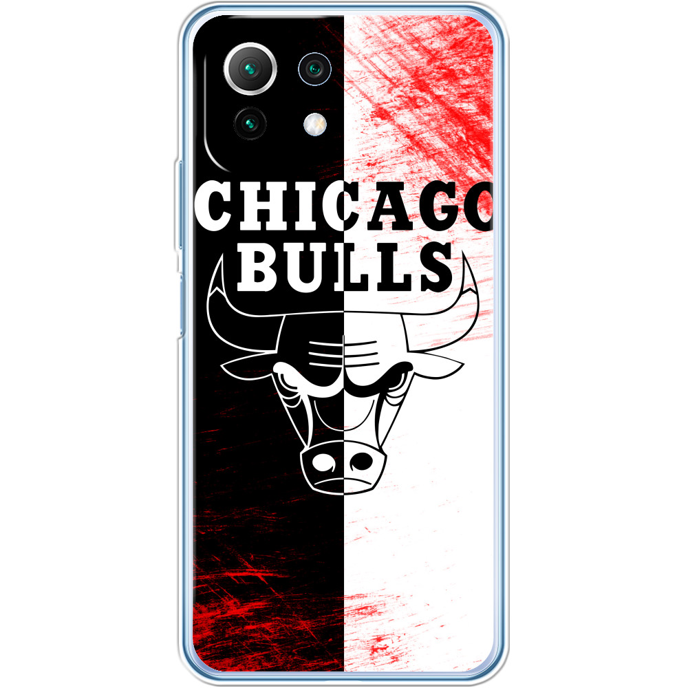 Chicago Bulls [10]