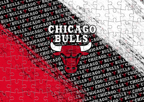 Chicago Bulls [6]