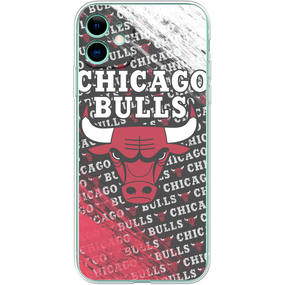 Chicago Bulls [6]