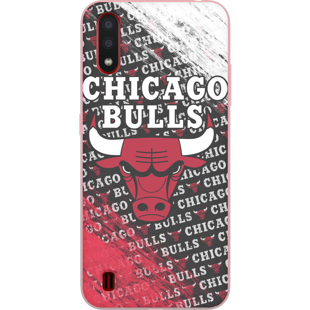 Chicago Bulls [6]