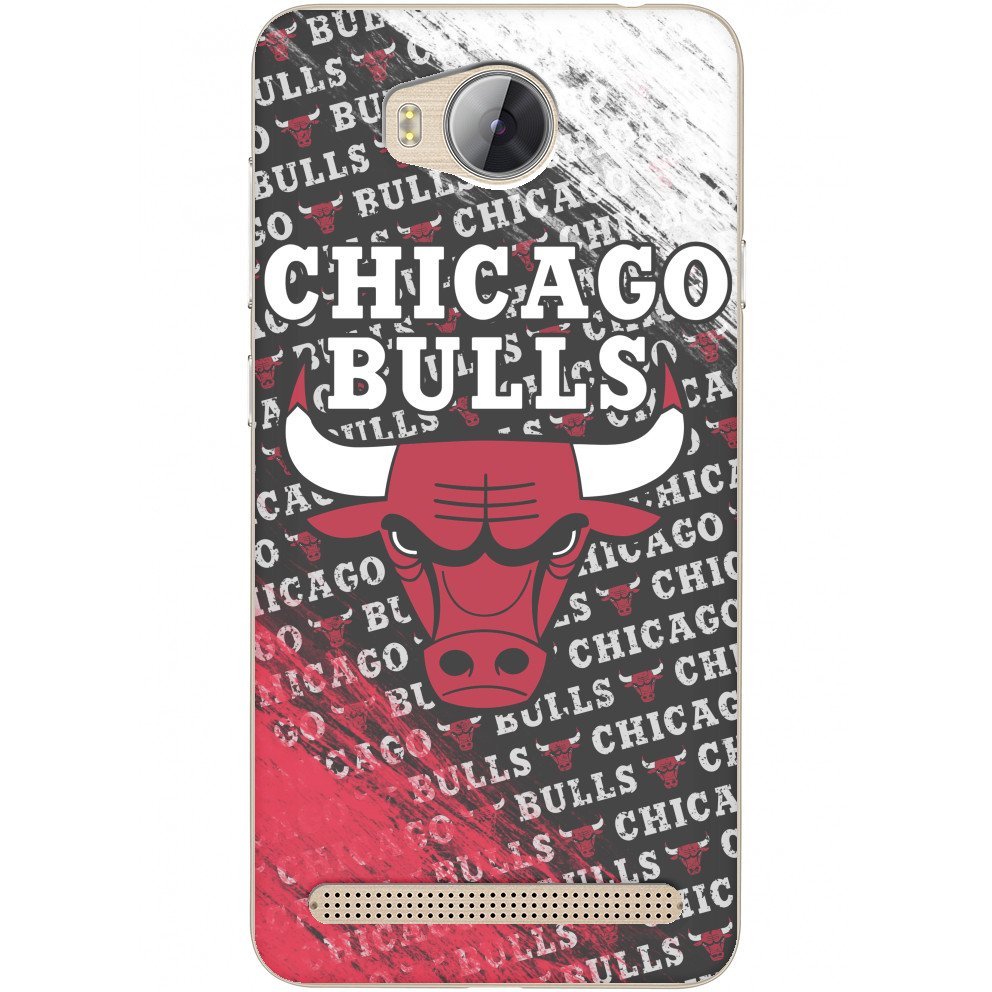 Chicago Bulls [6]