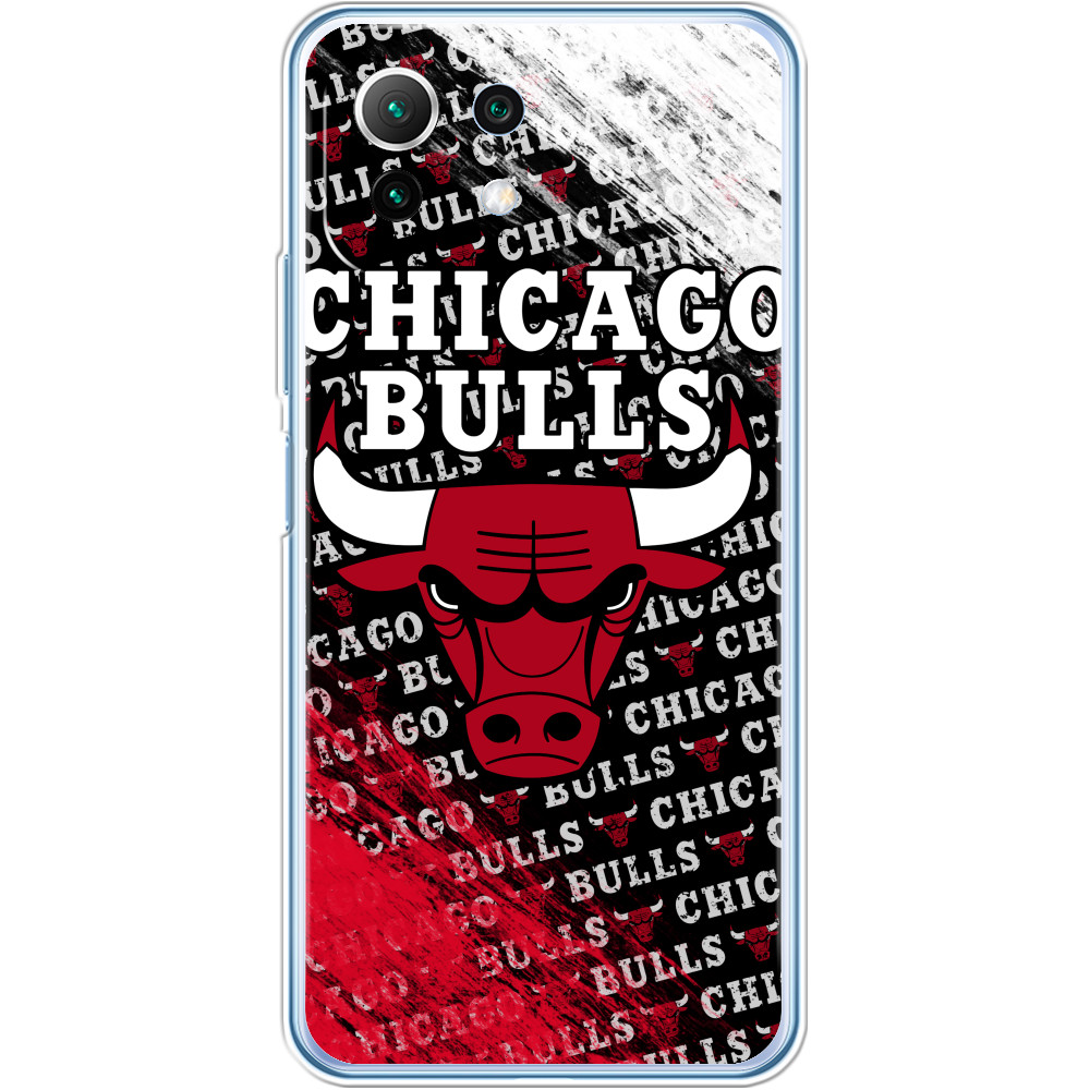 Chicago Bulls [6]