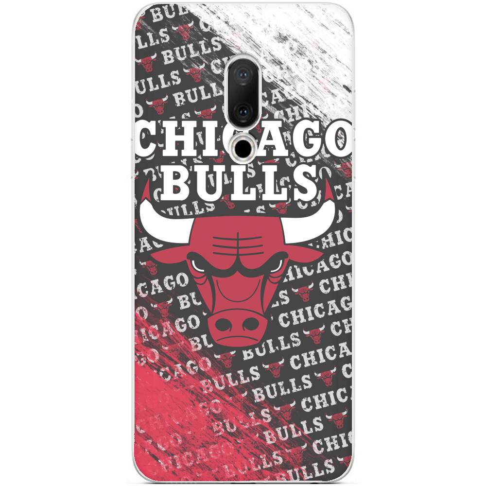 Chicago Bulls [6]