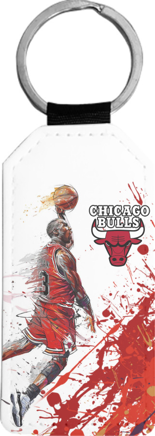 Chicago Bulls [12]