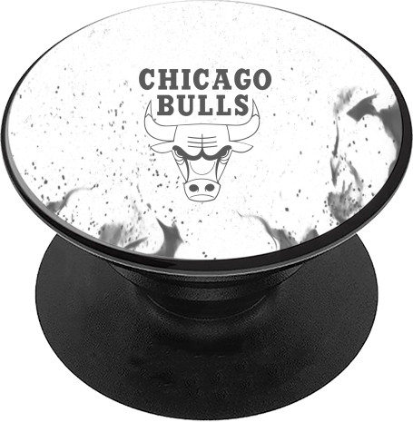 Chicago Bulls [11]