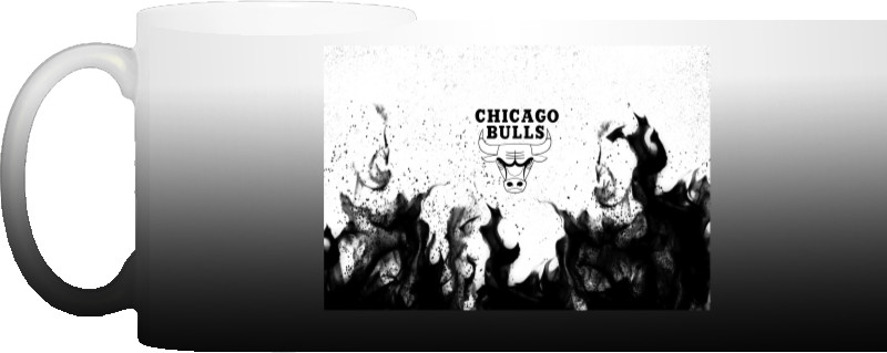 Chicago Bulls [11]