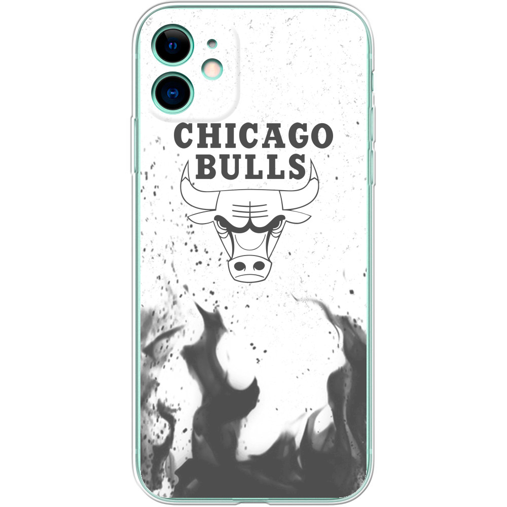 Chicago Bulls [11]