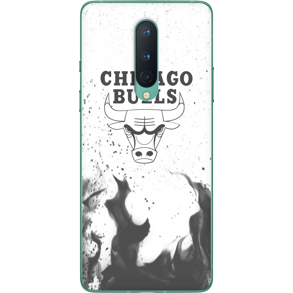 Chicago Bulls [11]