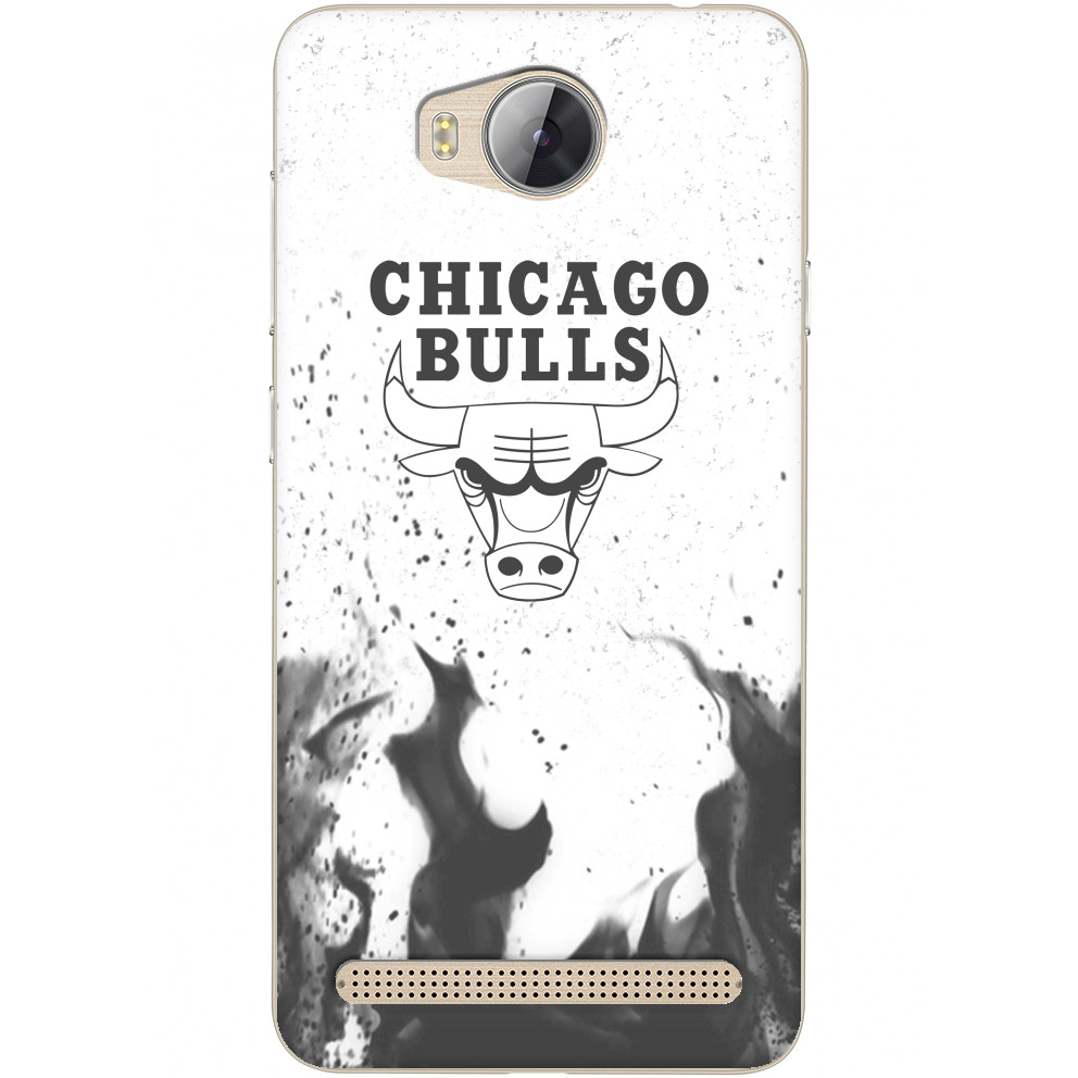 Chicago Bulls [11]