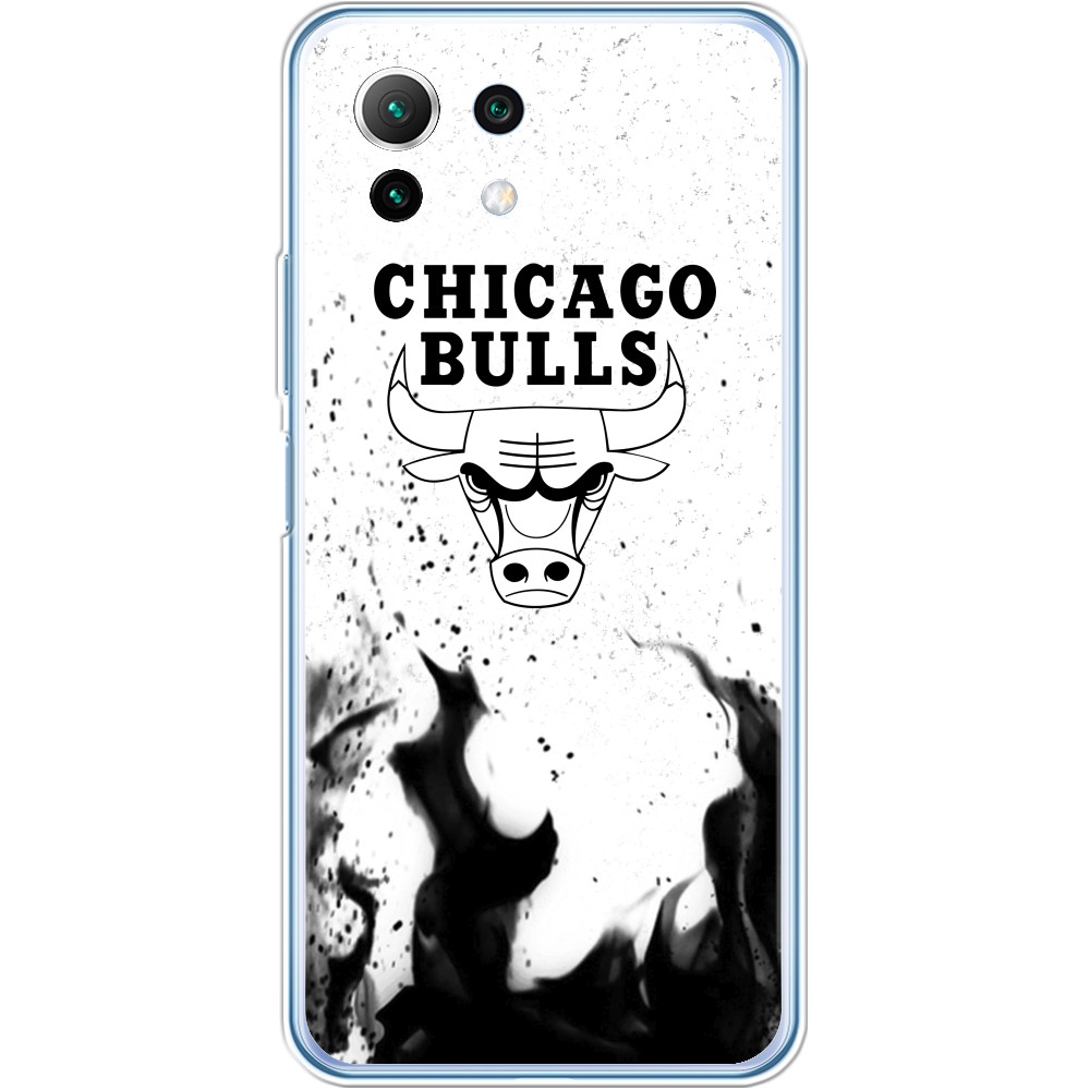 Chicago Bulls [11]