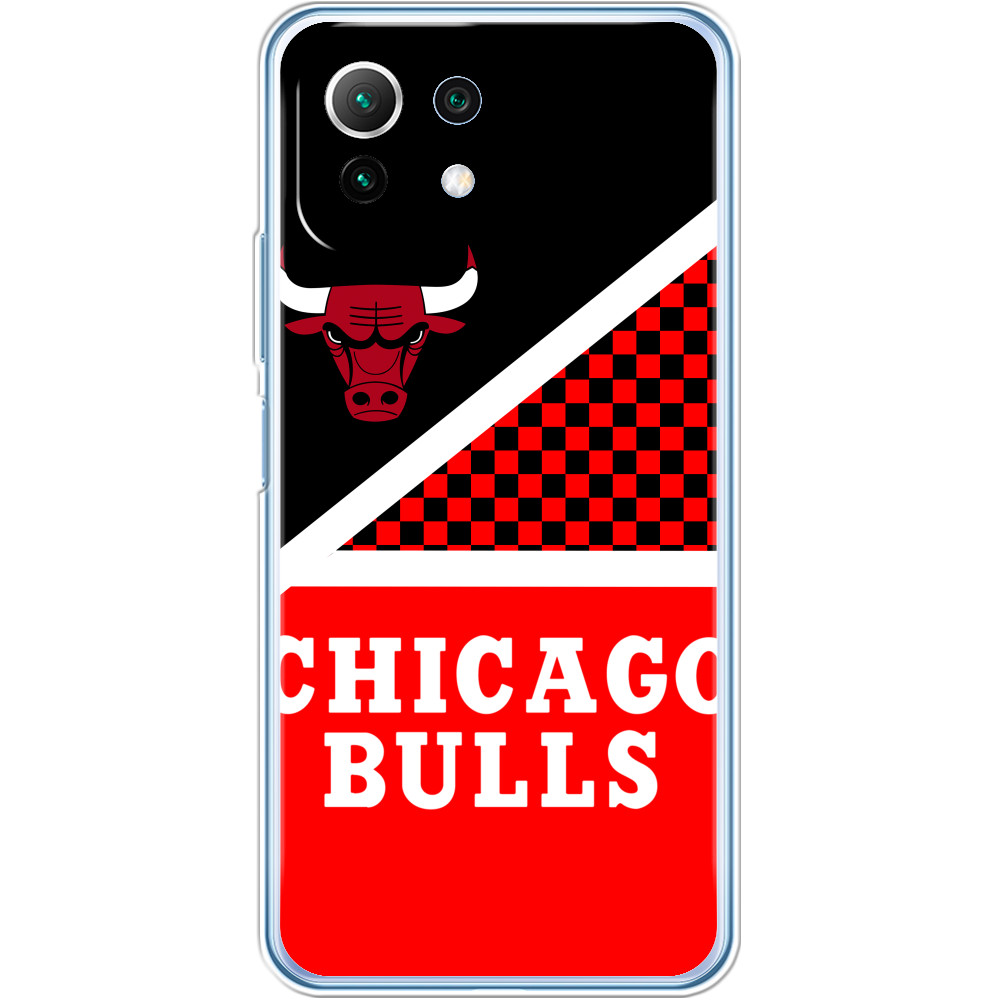 Chicago Bulls [13]