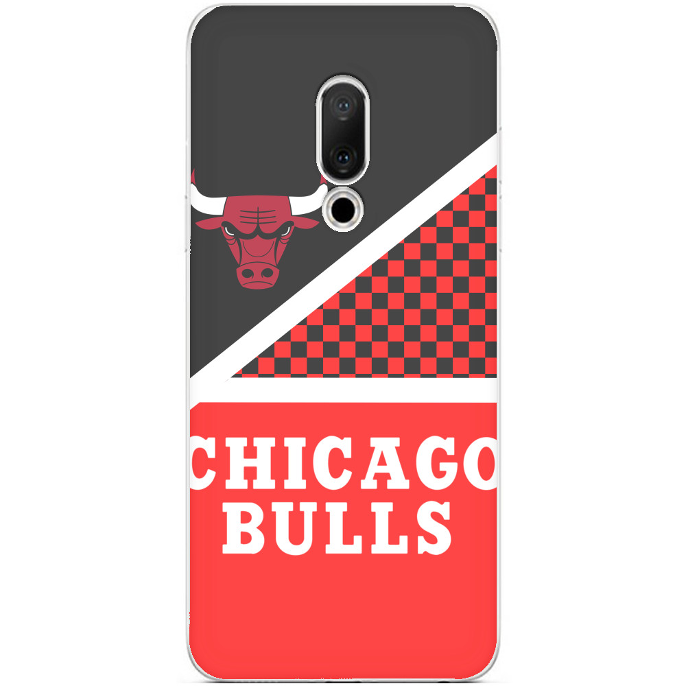 Chicago Bulls [13]