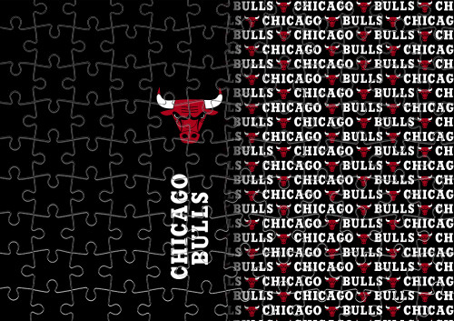 Chicago Bulls [7]